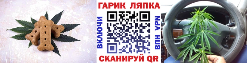 Canna-Cookies конопля  купить наркотики сайты  Волгореченск 